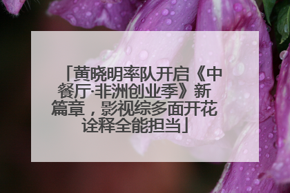 黄晓明率队开启《中餐厅·非洲创业季》新篇章，影视综多面开花诠释全能担当