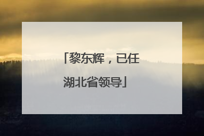 黎东辉，已任湖北省领导