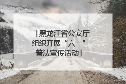 黑龙江省公安厅组织开展“六一”普法宣传活动
