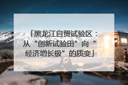 黑龙江自贸试验区：从“创新试验田”向“经济增长极”的质变