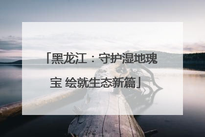 黑龙江：守护湿地瑰宝 绘就生态新篇