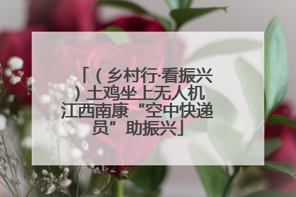 （乡村行·看振兴）土鸡坐上无人机 江西南康“空中快递员”助振兴