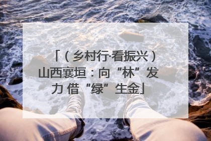 （乡村行·看振兴）山西襄垣：向“林”发力 借“绿”生金
