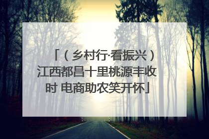 （乡村行·看振兴）江西都昌十里桃源丰收时 电商助农笑开怀