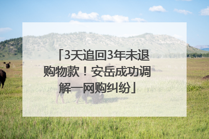 3天追回3年未退购物款！安岳成功调解一网购纠纷