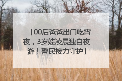00后爸爸出门吃宵夜，3岁娃凌晨独自夜游！警民接力守护
