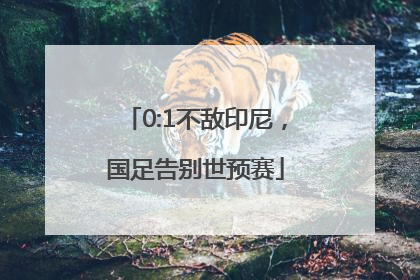 0:1不敌印尼，国足告别世预赛