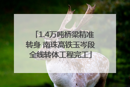1.4万吨桥梁精准转身 南珠高铁玉岑段全线转体工程完工
