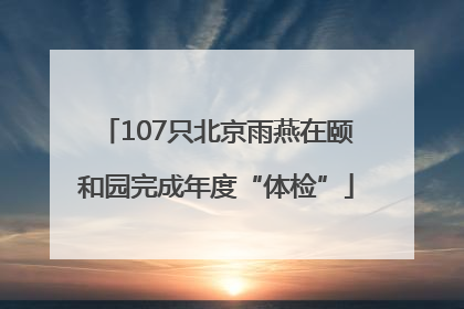 107只北京雨燕在颐和园完成年度“体检”