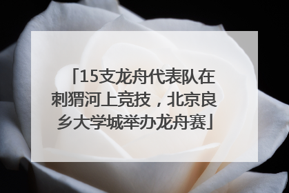 15支龙舟代表队在刺猬河上竞技，北京良乡大学城举办龙舟赛