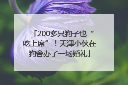 200多只狗子也“吃上席”！天津小伙在狗舍办了一场婚礼
