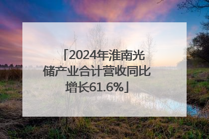2024年淮南光储产业合计营收同比增长61.6%