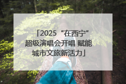 2025“在西宁”超级演唱会开唱 赋能城市文旅新活力