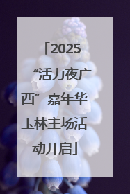 2025“活力夜广西”嘉年华玉林主场活动开启