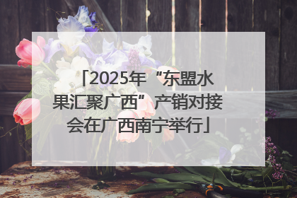 2025年“东盟水果汇聚广西”产销对接会在广西南宁举行