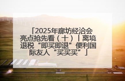 2025年廊坊经洽会亮点抢先看（十）丨离境退税“即买即退”便利国际友人“买买买”