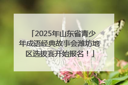 2025年山东省青少年成语经典故事会潍坊地区选拔赛开始报名！