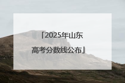 2025年山东高考分数线公布