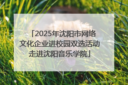 2025年沈阳市网络文化企业进校园双选活动走进沈阳音乐学院