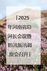 2025年河南省总河长会议暨防汛备汛调度会召开