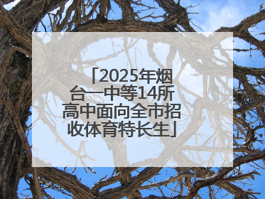 2025年烟台一中等14所高中面向全市招收体育特长生