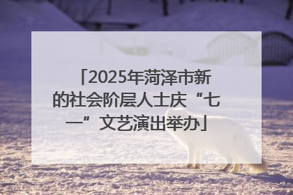 2025年菏泽市新的社会阶层人士庆“七一”文艺演出举办