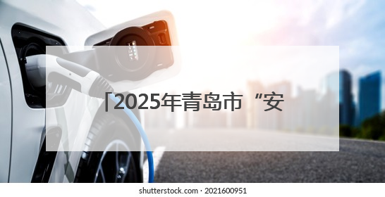 2025年青岛市“安全宣传咨询日”主场活动在西海岸新区举行