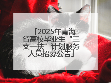 2025年青海省高校毕业生“三支一扶”计划服务人员招募公告