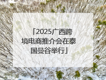2025广西跨境电商推介会在泰国曼谷举行