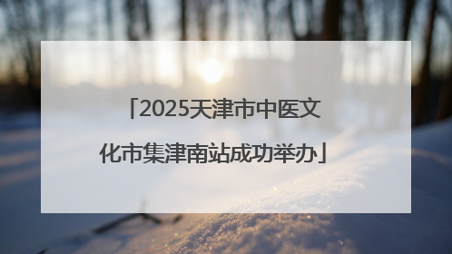 2025天津市中医文化市集津南站成功举办