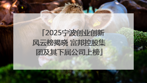 2025宁波创业创新风云榜揭晓 富邦控股集团及其下属公司上榜