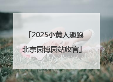 2025小黄人趣跑北京园博园站收官