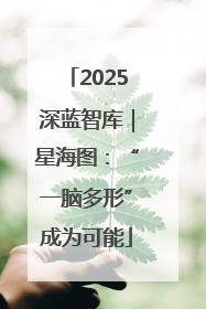 2025深蓝智库｜星海图：“一脑多形”成为可能