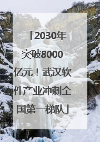 2030年突破8000亿元！武汉软件产业冲刺全国第一梯队