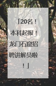 20名！本科起报！龙门石窟招聘讲解员啦！