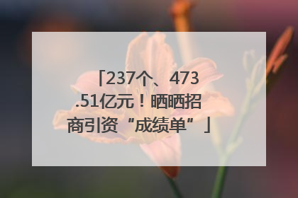 237个、473.51亿元！晒晒招商引资“成绩单”
