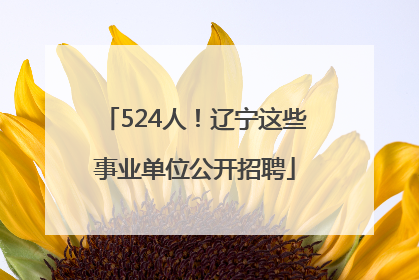 524人！辽宁这些事业单位公开招聘