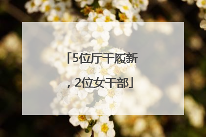 5位厅干履新，2位女干部