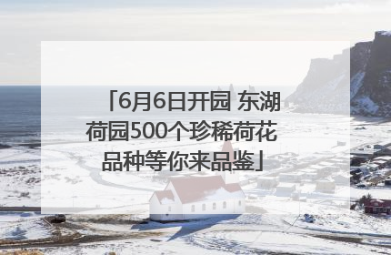 6月6日开园 东湖荷园500个珍稀荷花品种等你来品鉴
