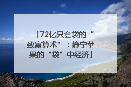 72亿只套袋的“致富算术”：静宁苹果的“袋”中经济
