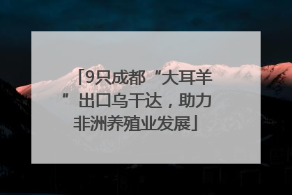 9只成都“大耳羊”出口乌干达，助力非洲养殖业发展