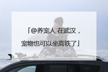 @养宠人 在武汉，宠物也可以坐高铁了