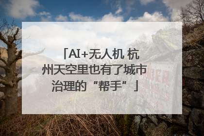 AI+无人机 杭州天空里也有了城市治理的“帮手”