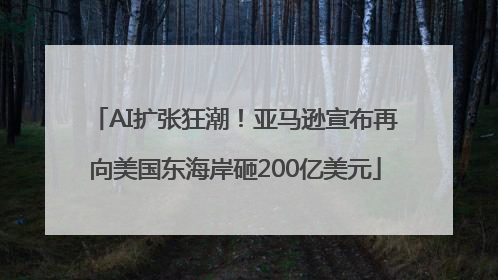 AI扩张狂潮！亚马逊宣布再向美国东海岸砸200亿美元