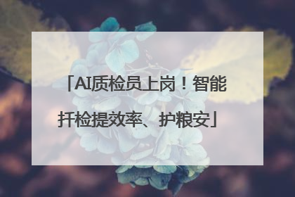 AI质检员上岗！智能扦检提效率、护粮安