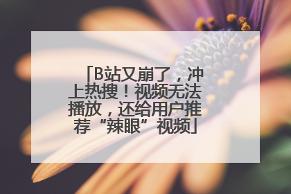 B站又崩了，冲上热搜！视频无法播放，还给用户推荐“辣眼”视频