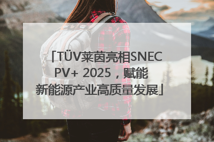 TÜV莱茵亮相SNEC PV+ 2025，赋能新能源产业高质量发展